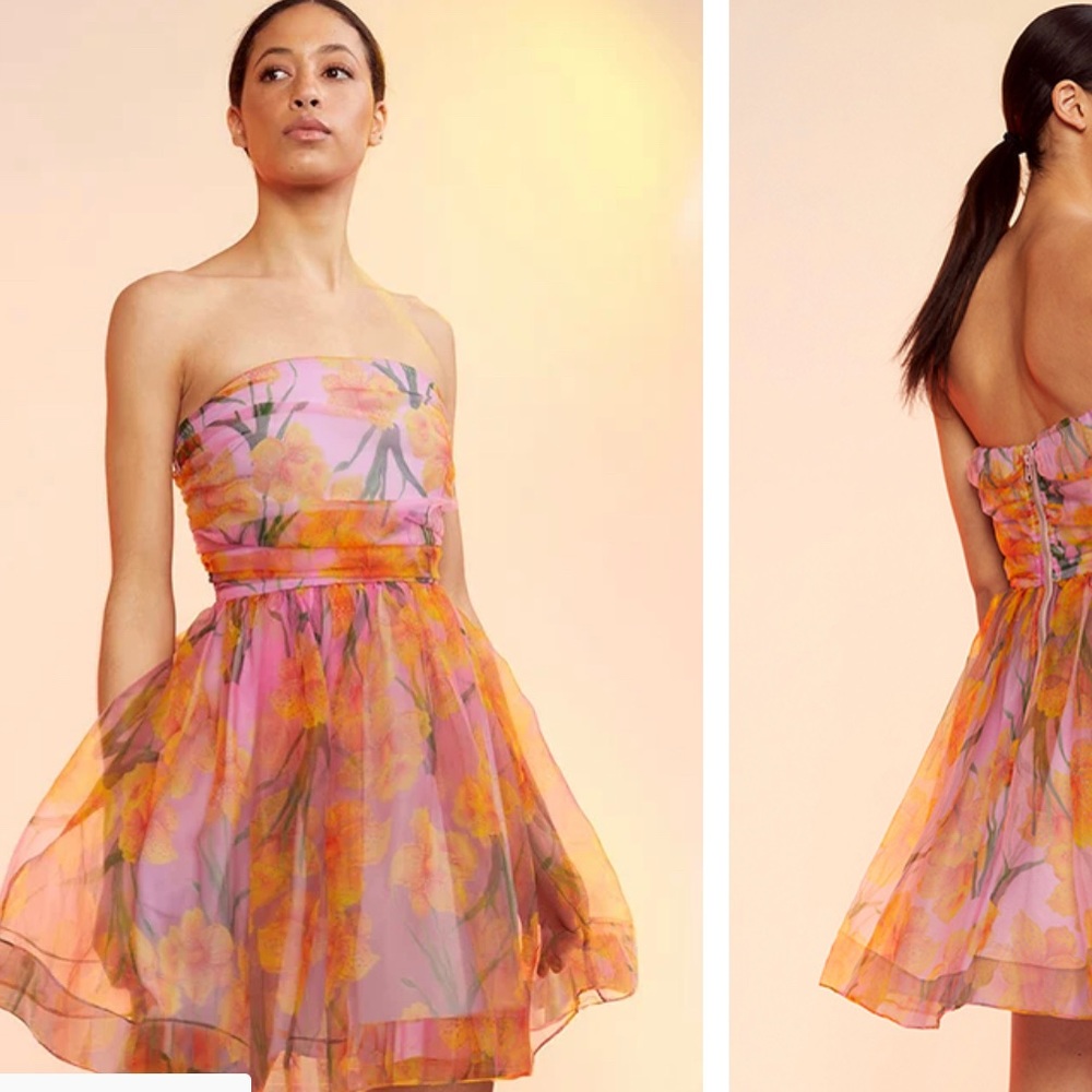 Cynthia Rowley dress NWT